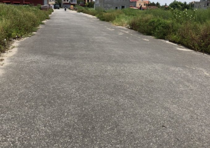 Đấu giá giai đoạn 2 Minh Tân, Kiến Thụy – Hải Phòng