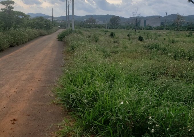 CHÍNH CHỦ CẦN BÁN LÔ ĐẤT HẺM NHỰA LÊ THỊ RIÊNG – LỘC CHÂU – TP BẢO LỘC. LIÊN HỆ: 0969000242