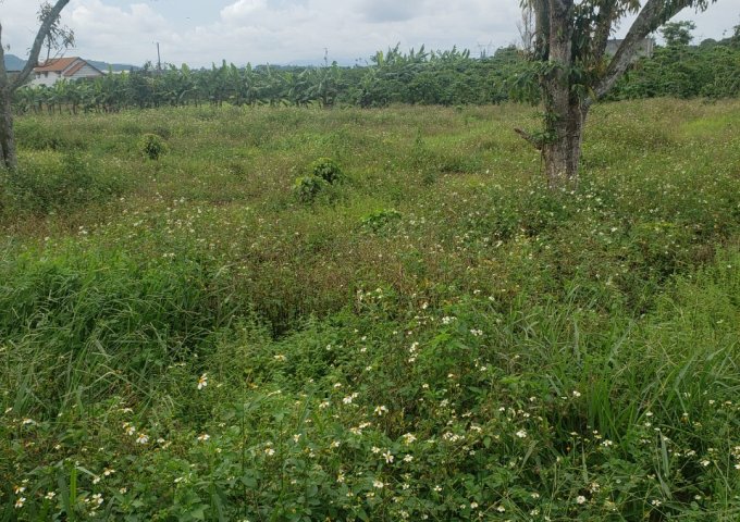 CHÍNH CHỦ CẦN BÁN LÔ ĐẤT HẺM NHỰA LÊ THỊ RIÊNG – LỘC CHÂU – TP BẢO LỘC. LIÊN HỆ: 0969000242