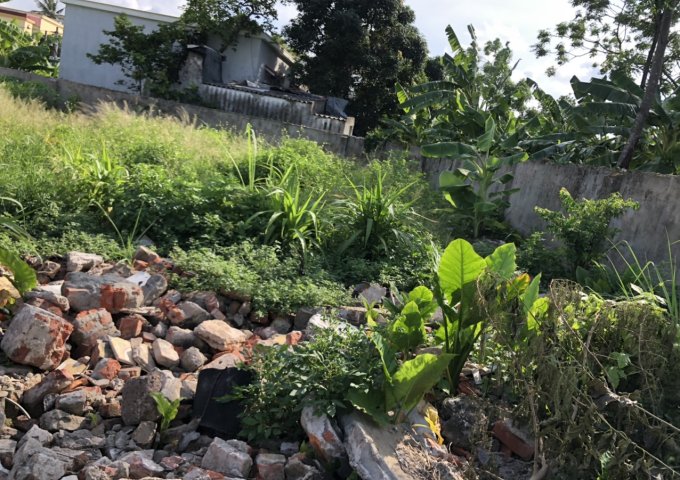 Nhà vườn Bàng Thượng, Bàng La, Đồ Sơn, Hải Phòng 500m