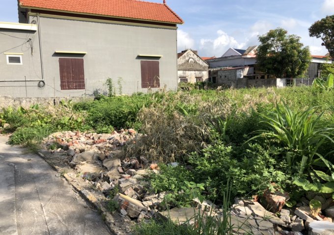 Nhà vườn Bàng Thượng, Bàng La, Đồ Sơn, Hải Phòng 500m