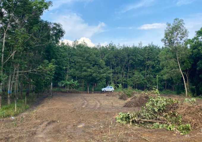 EM CÓ 3 NGUỒN ĐẤT VƯỜN CHÍNH CHỦ ĐỒNG PHÚ , BÌNH PHƯỚC CẦN BÁN GIÁ DỊCH NÊN GIẢM HẾT SỨC