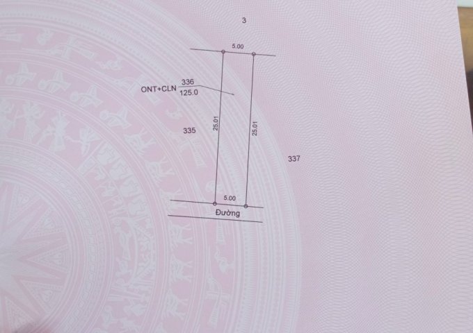 CHỦ CẦN TIỀN ĐỂ LO CÔNG VIỆC CẦN BÁN GẤP 2 LÔ ĐẤT LIỀN KỀ CƯ SUÊ