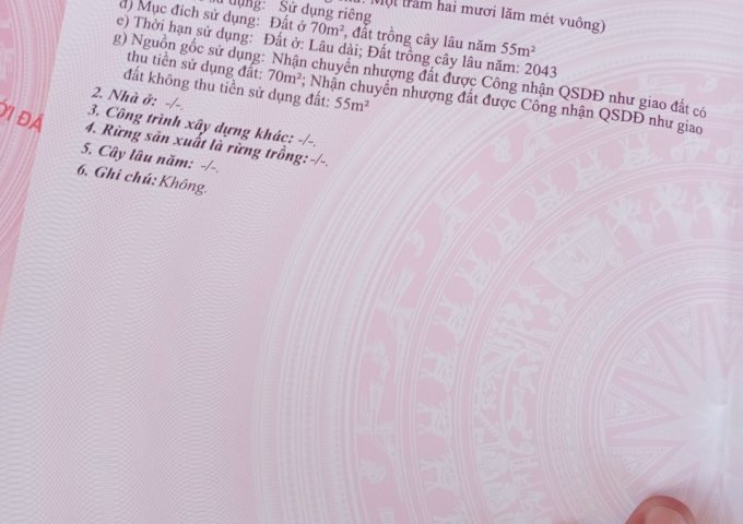 CHỦ CẦN TIỀN ĐỂ LO CÔNG VIỆC CẦN BÁN GẤP 2 LÔ ĐẤT LIỀN KỀ CƯ SUÊ