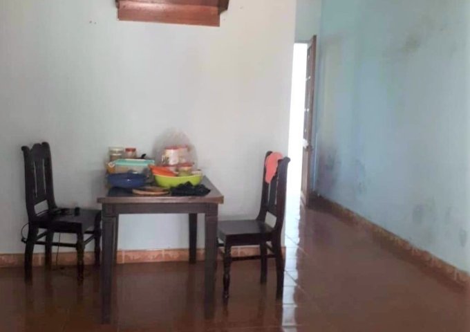 Bán đất tặng nhà cấp 4 đường Bình Thái 3, P. Hòa Thọ Đông, Cẩm Lệ, Đà Nẵng