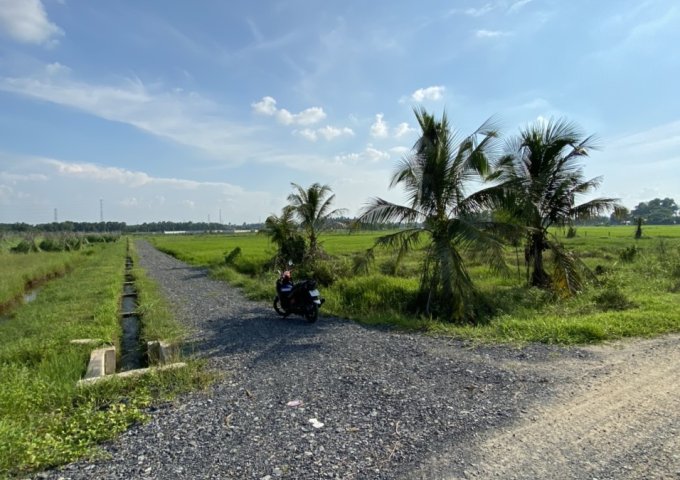 CHÍNH CHỦ CÓ LÔ ĐẤT CẦN BÁN TẠI HUYỆN CỦ CHI-THÀNH PHỐ HỒ CHÍ MINH