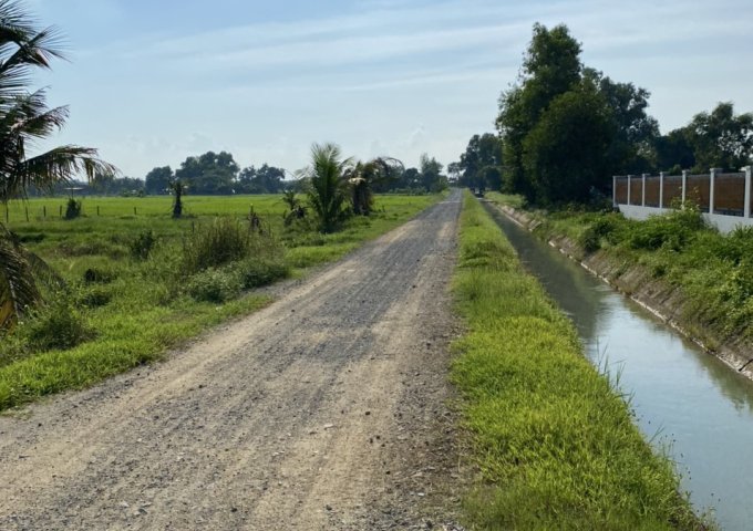 CHÍNH CHỦ CÓ LÔ ĐẤT CẦN BÁN TẠI HUYỆN CỦ CHI-THÀNH PHỐ HỒ CHÍ MINH