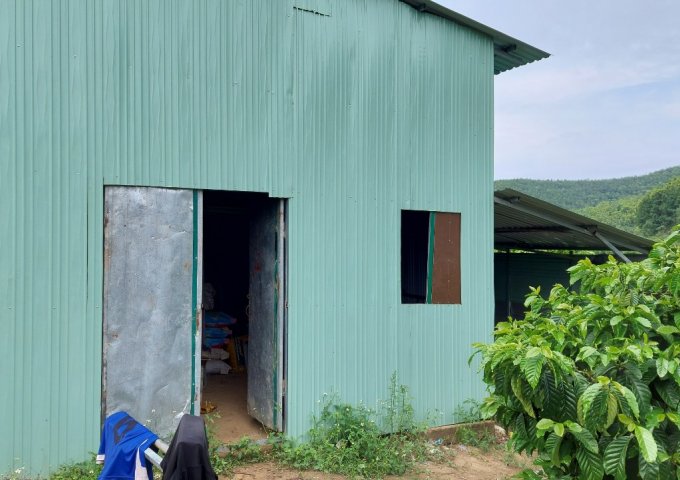 CHÍNH CHỦ CẦN BÁN LÔ ĐẤT VƯỜN TẠI XÃ ĐĂK NUÊ - HUYỆN LĂK - ĐĂK LĂK ..