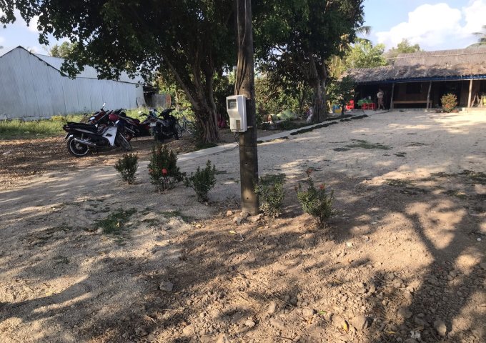 CHÍNH CHỦ CẦN BÁN 20 CÔNG RUỘNG, ẤP CÔNG NGHIỆP, XÃ KHÁNH HƯNG, HUYỆN TRẦN VĂN THỜI, TP CÀ MAU.