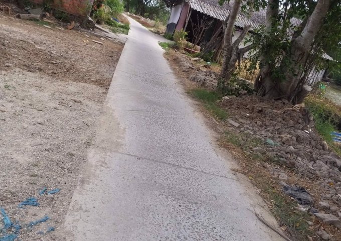 CHÍNH CHỦ CẦN BÁN 20 CÔNG RUỘNG, ẤP CÔNG NGHIỆP, XÃ KHÁNH HƯNG, HUYỆN TRẦN VĂN THỜI, TP CÀ MAU.