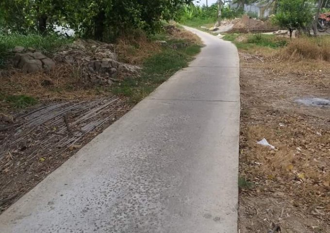 CHÍNH CHỦ CẦN BÁN 20 CÔNG RUỘNG, ẤP CÔNG NGHIỆP, XÃ KHÁNH HƯNG, HUYỆN TRẦN VĂN THỜI, TP CÀ MAU.