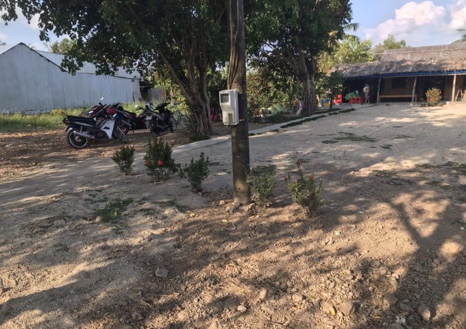 CHÍNH CHỦ CẦN BÁN 20 CÔNG RUỘNG, ẤP CÔNG NGHIỆP, XÃ KHÁNH HƯNG, HUYỆN TRẦN VĂN THỜI, TP CÀ MAU.