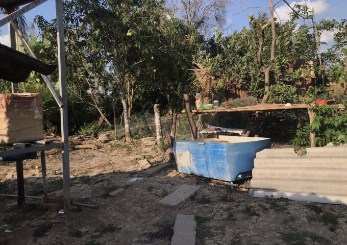 CHÍNH CHỦ CẦN BÁN 20 CÔNG RUỘNG, ẤP CÔNG NGHIỆP, XÃ KHÁNH HƯNG, HUYỆN TRẦN VĂN THỜI, TP CÀ MAU.