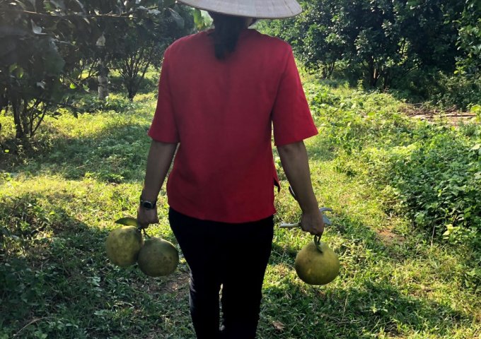 HOT HOT CẦN BÁN ĐẤT CÔNG NGHIỆP TẠI HOÀ BÌNH