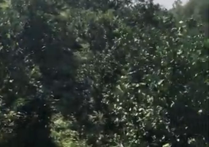 HOT HOT CẦN BÁN ĐẤT CÔNG NGHIỆP TẠI HOÀ BÌNH