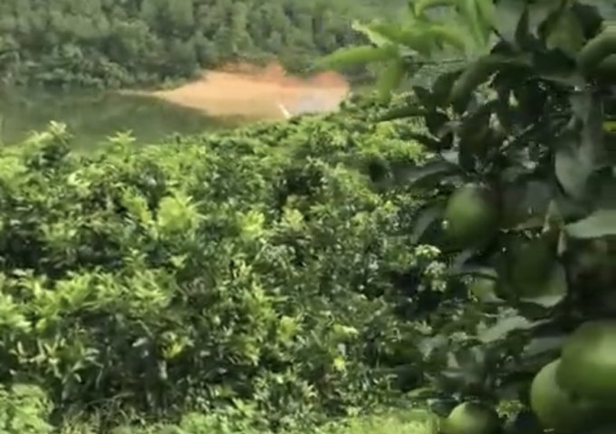 HOT HOT CẦN BÁN ĐẤT CÔNG NGHIỆP TẠI HOÀ BÌNH