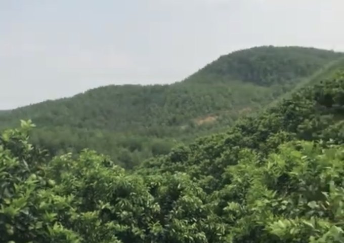 HOT HOT CẦN BÁN ĐẤT CÔNG NGHIỆP TẠI HOÀ BÌNH