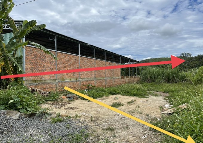 B20. CẦN BÁN LÔ ĐẤT MẶT TIỀN QUỐC LỘ 20, 15M X 59M CÓ 100M2 ĐẤT Ở. Đ/C THÔN PHÚ AN, XÃ PHÚ HỘI, HUYỆN ĐỨC TRỌNG, TỈNH LÂM ĐỒNG. (GẦN CẦU ĐẠI NINH).