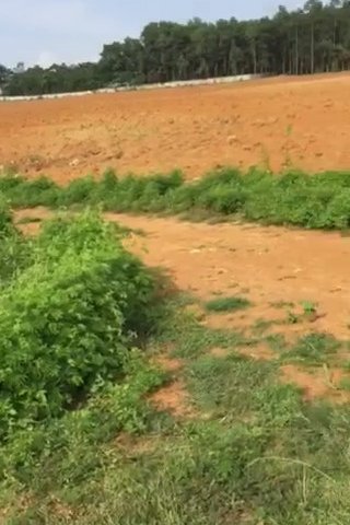 CHÍNH CHỦ CẦN BÁN LÔ ĐẤT ĐẤT TRỤC ĐƯỜNG 477C, THÔN ME, SƠN LAI, NHO QUAN, NINH BÌNH. GẦN BÁI ĐÍNH