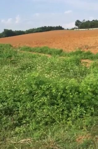 CHÍNH CHỦ CẦN BÁN LÔ ĐẤT ĐẤT TRỤC ĐƯỜNG 477C, THÔN ME, SƠN LAI, NHO QUAN, NINH BÌNH. GẦN BÁI ĐÍNH