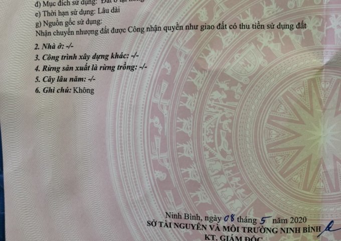 CHÍNH CHỦ CẦN BÁN LÔ ĐẤT ĐẤT TRỤC ĐƯỜNG 477C, THÔN ME, SƠN LAI, NHO QUAN, NINH BÌNH. GẦN BÁI ĐÍNH