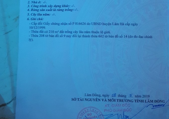 CẦN BÁN LÔ ĐẤT XÃ TÂN HÀ – HUYỆN LÂM HÀ – TỈNH LÂM ĐỒNG. LIÊN HỆ: 0943089777