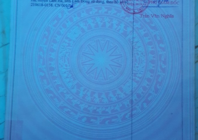 CẦN BÁN LÔ ĐẤT XÃ TÂN HÀ – HUYỆN LÂM HÀ – TỈNH LÂM ĐỒNG. LIÊN HỆ: 0943089777