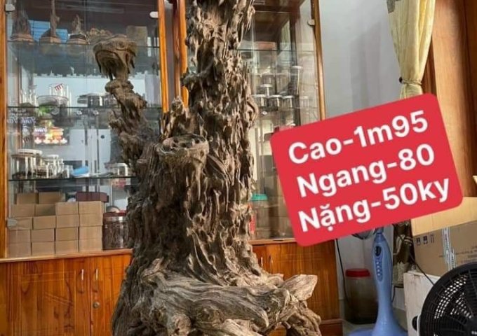 CHUYÊN TRẦM HƯƠNG ĐỦ LOẠI THU THẢO – XIN KÍNH CHÀO QUÝ KHÁCH