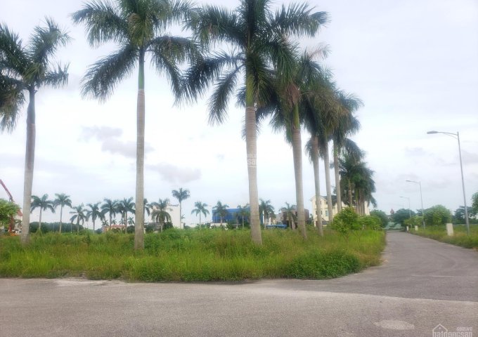 Bán 185m2 view vườn hoa, đất Anh Dũng 3 - Dương Kinh - Hải Phòng