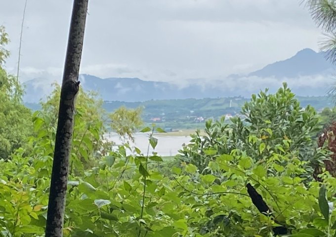 Chính chủ cần bán gấp lô đất 6900m2 tại thôn Liên Bu,  xã Minh Quang, huyện Ba Vì, thành phố Hà Nội. LH Thu Hương 0975349726