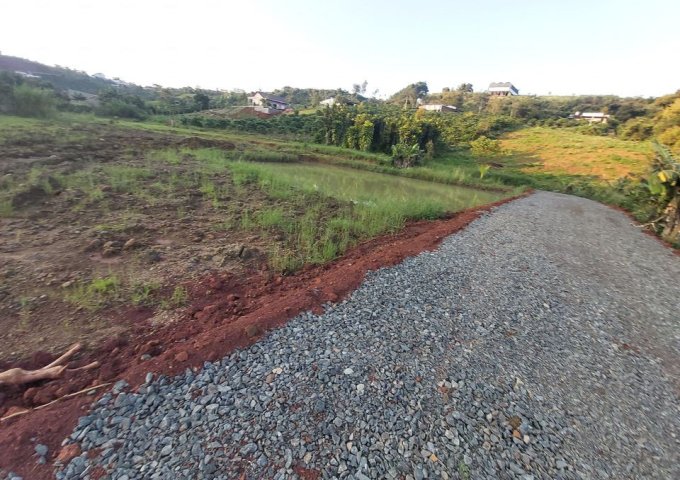 CẦN BÁN LÔ ĐẤT HẺM NGUYỄN AN NINH - ĐAMBRI – TP BẢO LỘC. LIÊN HỆ: 08.77.88.62.68