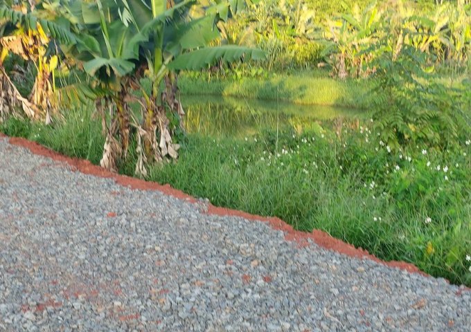 CẦN BÁN LÔ ĐẤT HẺM NGUYỄN AN NINH - ĐAMBRI – TP BẢO LỘC. LIÊN HỆ: 08.77.88.62.68