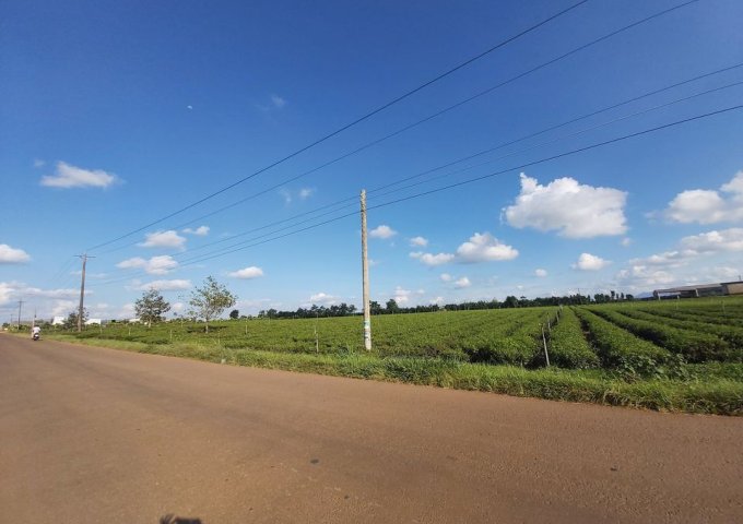 CHÍNH CHỦ CẦN BÁN LÔ ĐẤT MẶT TIỀN ĐƯỜNG LẠC LONG QUÂN - TT LỘC THẮNG - BẢO LÂM. LIÊN HỆ: 08.77.88.62.68