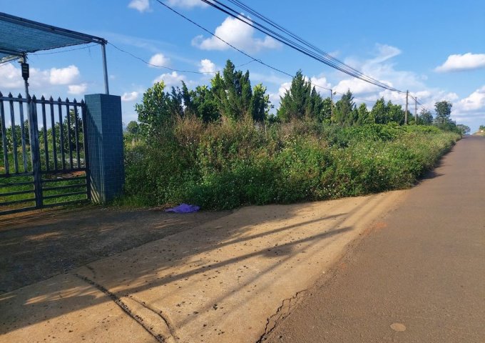 CHÍNH CHỦ CẦN BÁN LÔ ĐẤT MẶT TIỀN ĐƯỜNG LẠC LONG QUÂN - TT LỘC THẮNG - BẢO LÂM. LIÊN HỆ: 08.77.88.62.68