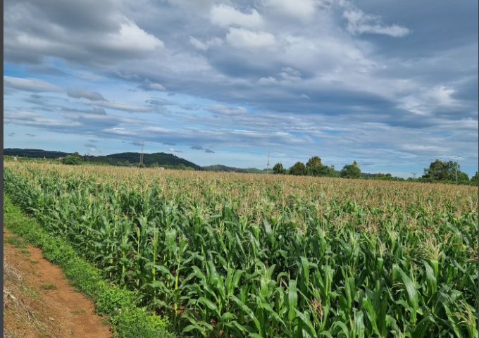 CẦN BÁN 3 LÔ ĐẤT SÀO RẤT ĐẸP Ở ĐỨC TRỌNG, LÂM ĐỒNG