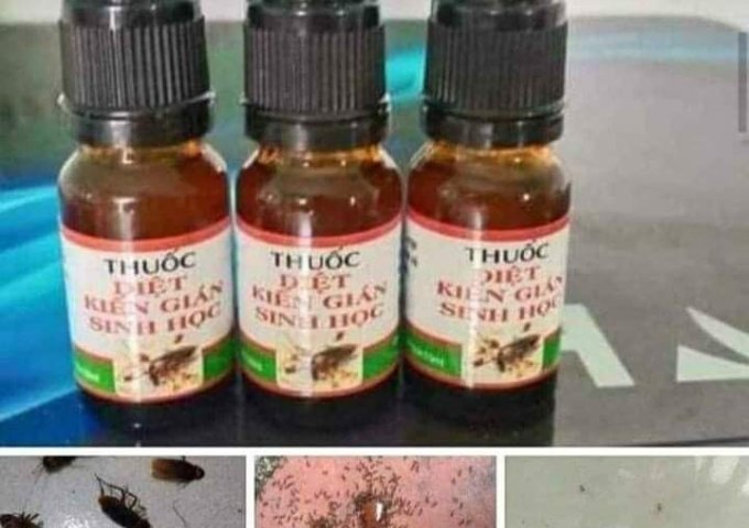 HUMIC USA THUỐC BỔ CHO CÂY TRỒNG,BẠN CỦA NHÀ NÔNG 
DỤNG