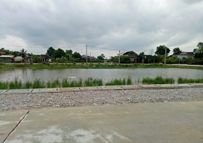 CHỚP CƠ HỘI VÀNG HIẾM CÓ SỞ HỮU ĐẤT NỀN TẠI THÔN THỌ LỘC - XÃ ĐỒNG LỢI -TRIỆU SƠN - THANH HÓA