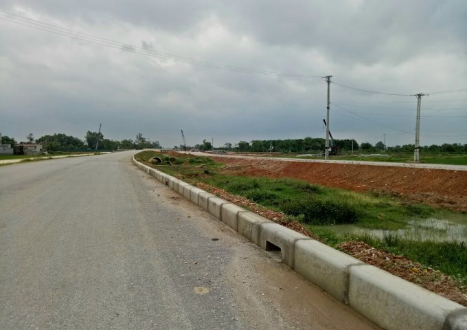 CHỚP CƠ HỘI VÀNG HIẾM CÓ SỞ HỮU ĐẤT NỀN TẠI THÔN THỌ LỘC - XÃ ĐỒNG LỢI -TRIỆU SƠN - THANH HÓA