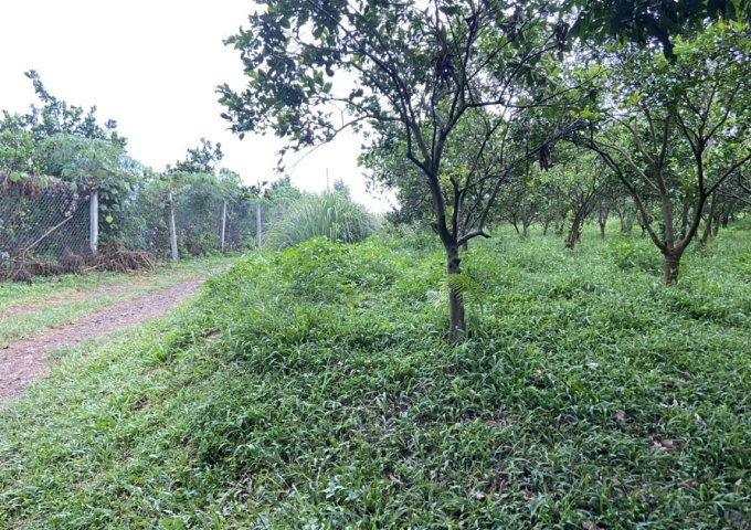 BÁN GẤP LÔ ĐẤT 1.7HA TẠI CAO PHONG - HÒA BÌNH - GIÁ SIÊU TỐT ĐỂ ĐẦU TƯ. LH: 0971277179 - MR.DUY