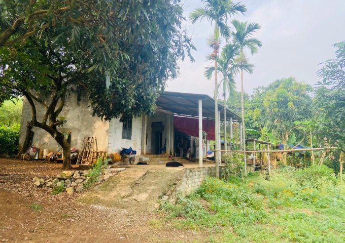 BÁN GẤP LÔ ĐẤT 1.7HA TẠI CAO PHONG - HÒA BÌNH - GIÁ SIÊU TỐT ĐỂ ĐẦU TƯ. LH: 0971277179 - MR.DUY