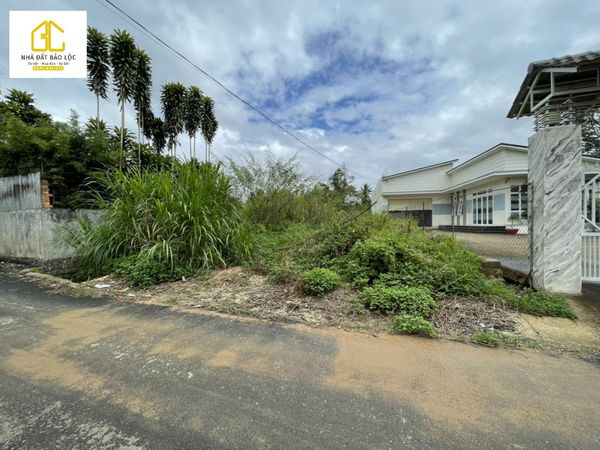 Bán đất tại Đường Phan Chu Trinh, Bảo Lộc,  Lâm Đồng giá 3.950 Tỷ