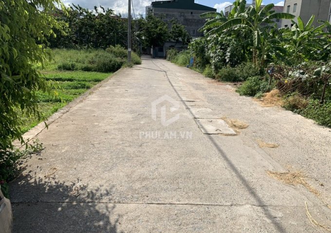 Cần bán 114,5m đất đấu giá khu X2 hướng Tây Nam thôn Vàng, Cổ Bi, Gia Lâm.