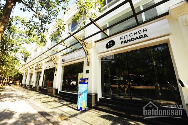 Chính chủ bán nhà phố cúc ecopark giá đầu tư