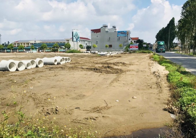 Đất nền dự án huyện Kim Thành, Hải Dương
