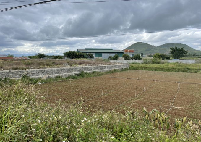 B21. CẦN BÁN LÔ ĐẤT MẶT TIỀN ĐT 724. 16M X 34M =544M2, CÓ 100M2 ĐẤT Ở. Đ/C: XÃ PHÚ HỘI, HUYỆN ĐỨC TRỌNG, TỈNH LÂM ĐỒNG. ( QUỐC LỘ 20 VÀO XÃ TÂN HỘI )