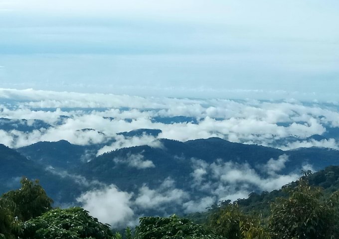 CHÍNH CHỦ CẦN BÁN 8.5HA ĐẤT RẪY TẠI NINH LOAN – ĐỨC TRỌNG – LÂM ĐỒNG. LIÊN HỆ: 0972692726