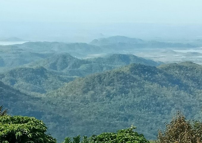 CHÍNH CHỦ CẦN BÁN 8.5HA ĐẤT RẪY TẠI NINH LOAN – ĐỨC TRỌNG – LÂM ĐỒNG. LIÊN HỆ: 0972692726