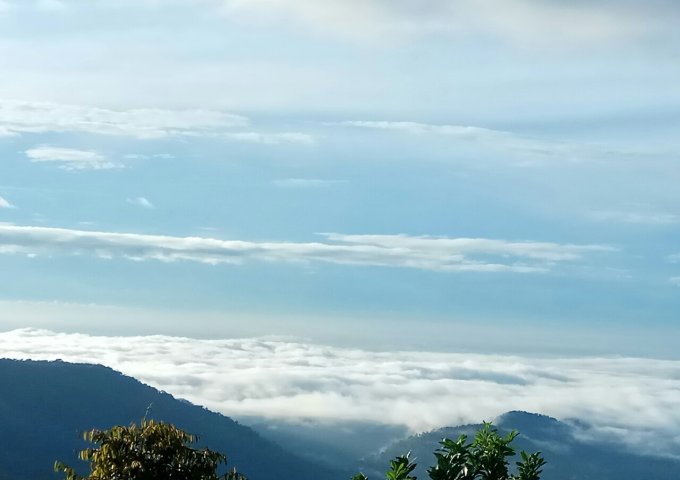 CHÍNH CHỦ CẦN BÁN 8.5HA ĐẤT RẪY TẠI NINH LOAN – ĐỨC TRỌNG – LÂM ĐỒNG. LIÊN HỆ: 0972692726