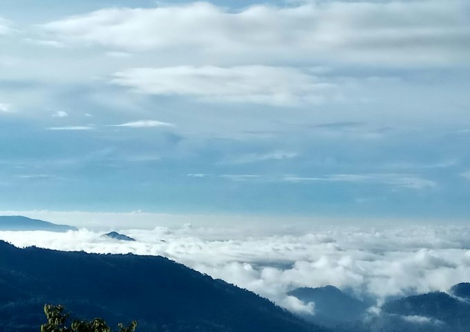 CHÍNH CHỦ CẦN BÁN 8.5HA ĐẤT RẪY TẠI NINH LOAN – ĐỨC TRỌNG – LÂM ĐỒNG. LIÊN HỆ: 0972692726