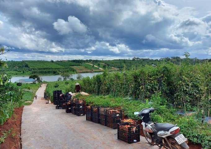 Bán đất View nghỉ dưỡng ven hồ Phúc Hưng - Lâm Đồng. Ngay gần hồ Phúc Thọ.